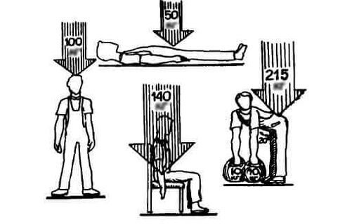 Load on the spine in different positions